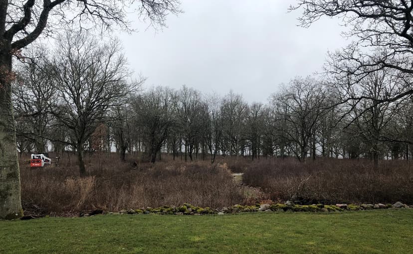 Bobcaten hugger in i taggbuskarna.