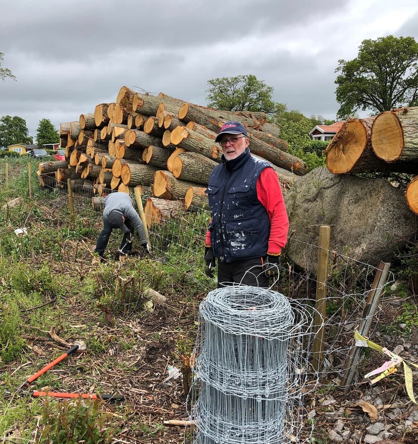 Boende på området stängslar in betesmarken.