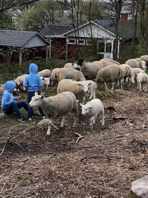 Barnen gläds åt det nya inslaget i naturen.
